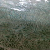 Mixed high accurancy curtain fabric
